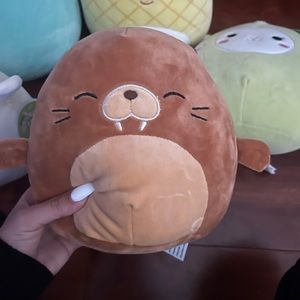 7.5 in Bruce Squishmallow